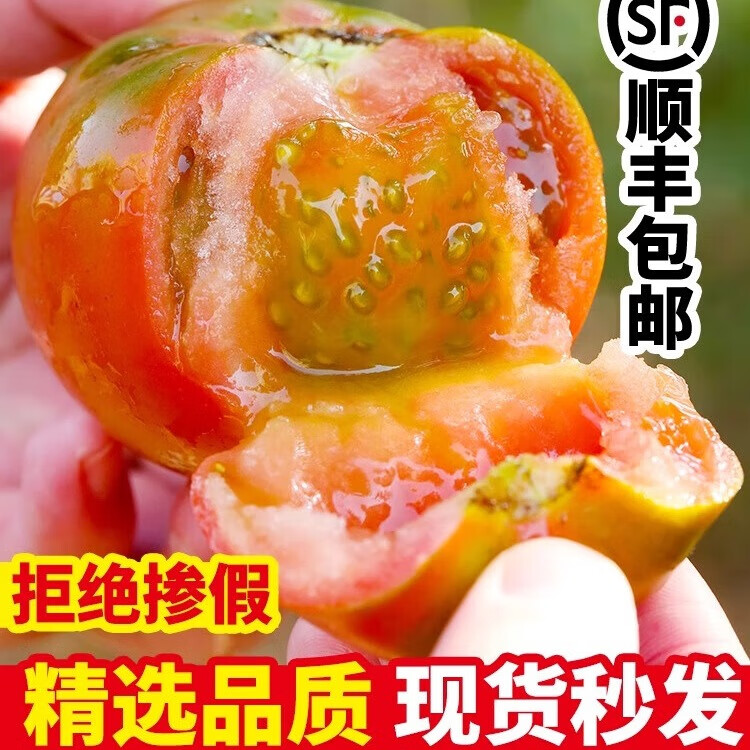 寻天果蔬 密云绿腚草莓西红柿 铁皮番茄 健康轻食 新鲜蔬菜 铁皮柿子 4.5斤