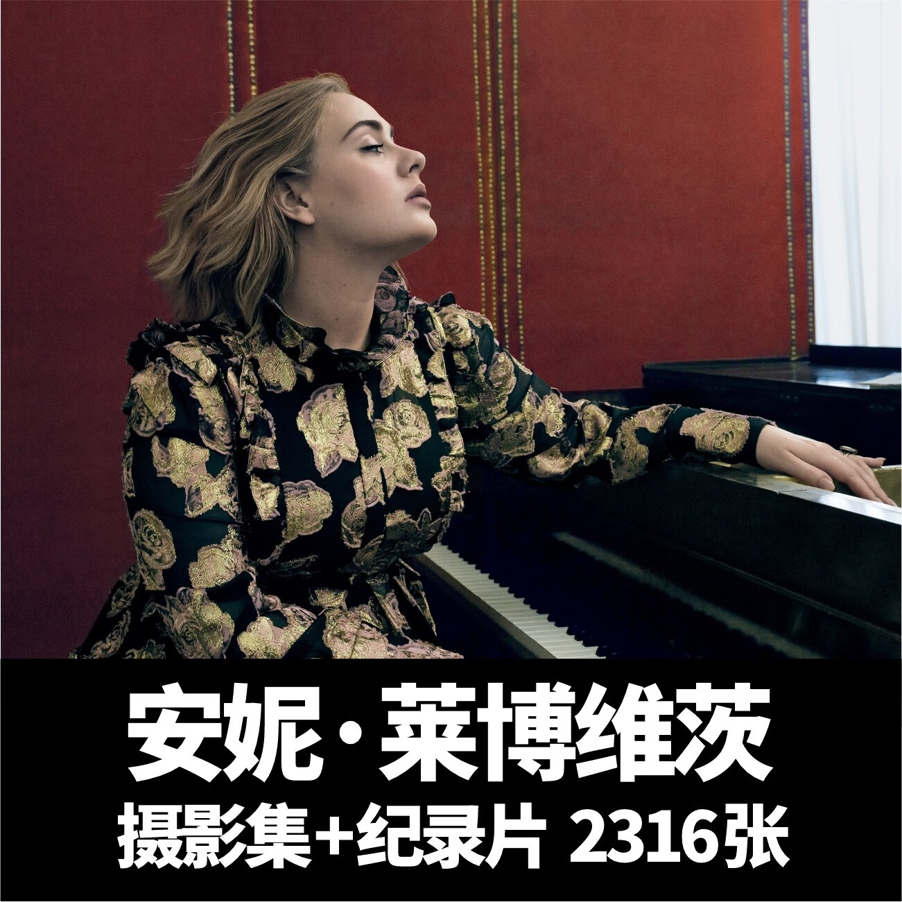 安妮 莱博维茨 annie leibovitz 美国摄影师作品集光影图片素材