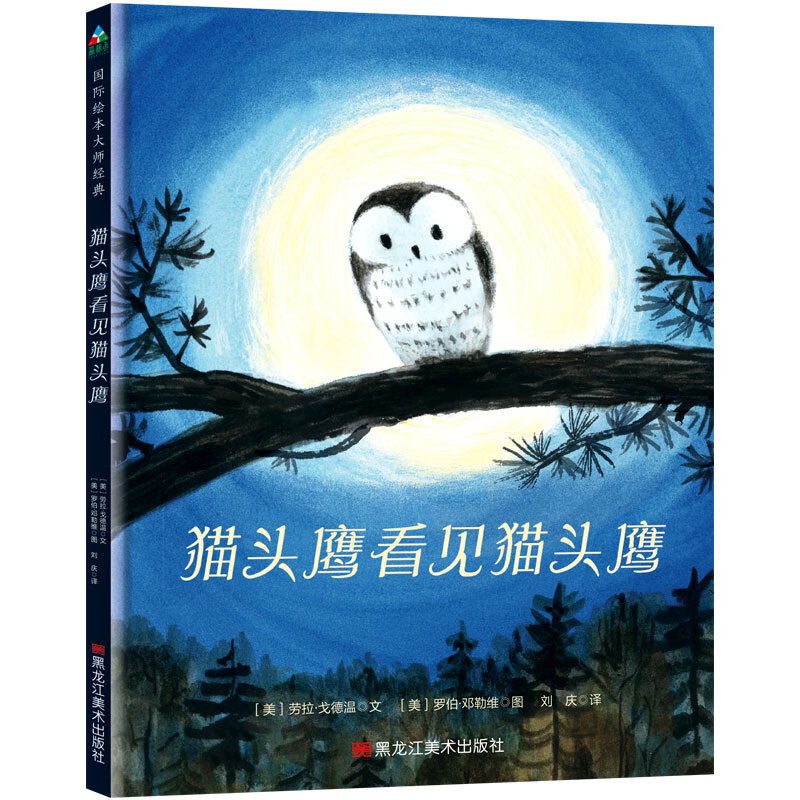看见 (美) 劳拉·戈德温文 9787559322272 黑龙江美术出版社