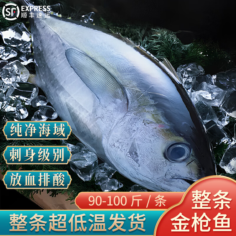 源外园 整条金枪鱼 国产黄鳍金抢金枪生鲜鱼刺身吞拿鱼 90-100斤/条