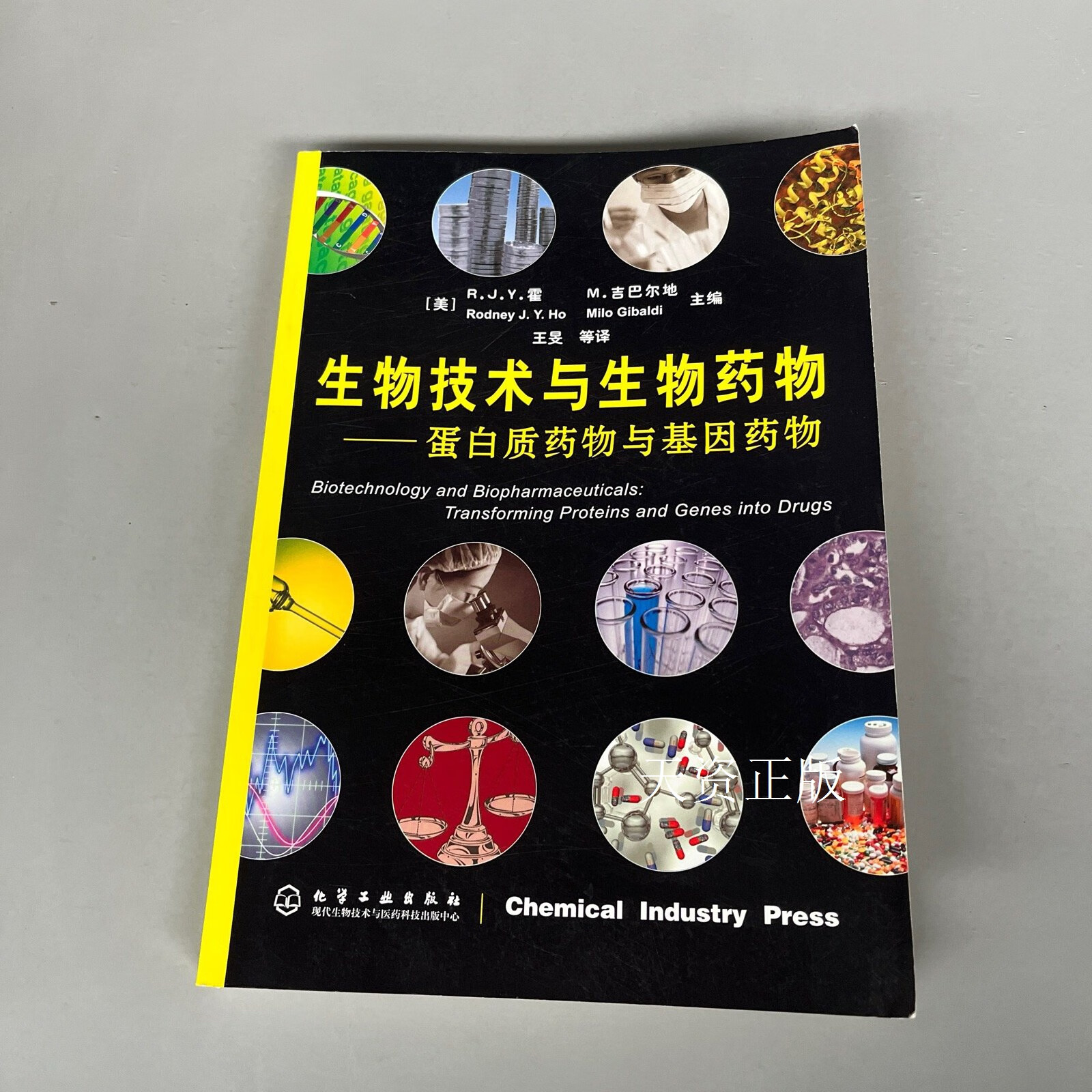 生物技术与生物药物 (美)霍 化学工业出版社