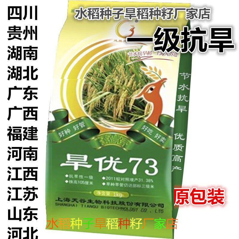 汇种草农杂交旱稻种子旱地长粒香旱地稻种山地旱优73清香大米水稻稻谷