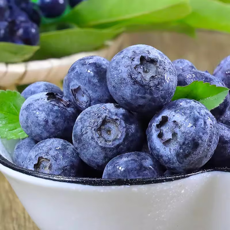 悠轶云南蓝莓水果新鲜【多地次日达】L25花香蓝莓国产孕妇水果 4盒装【100g/盒】单果15mm+