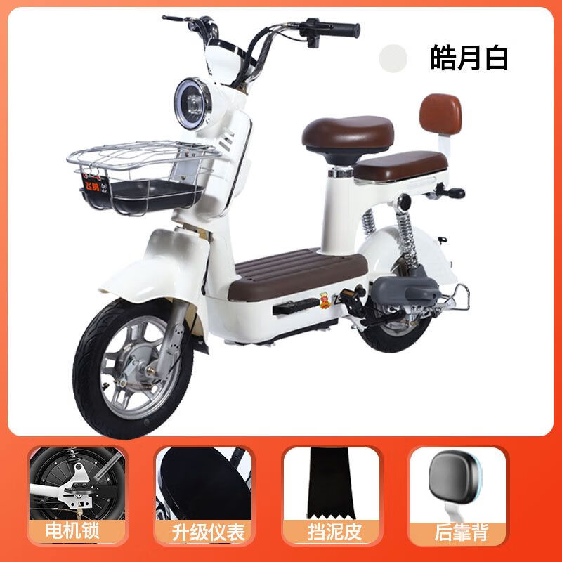 飞鸽飞鸽电动车新国标摩登2023新款复古可上牌男女通用亲子代步电瓶车
