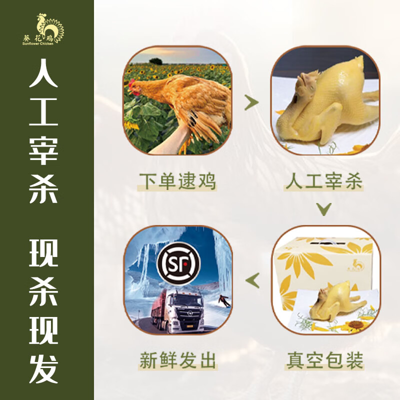臻品葵花鸡【900-1100g】【二选一】广州南沙 百家酒店总厨选材 臻品白切葵花鸡(熟的)
