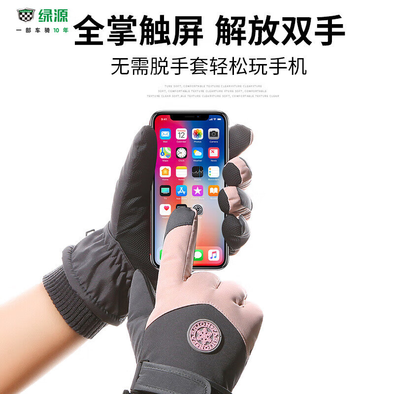 绿源（Luyuan）电瓶车手套秋冬男女触屏骑车户外运动电动车摩托防风加绒保暖手套 【男士】黑灰