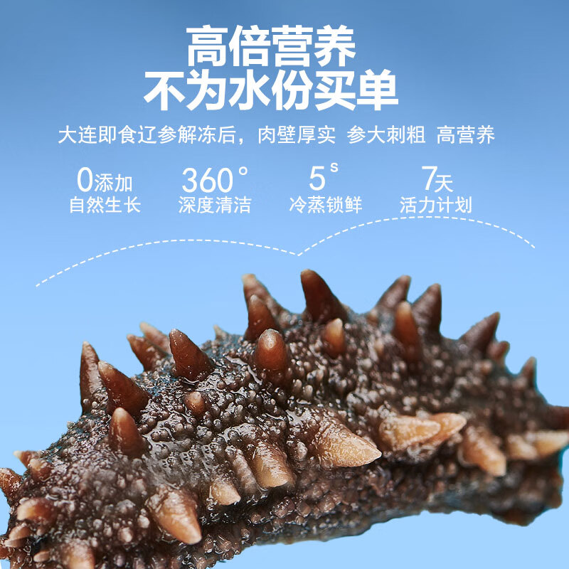 海纳堂即食海参90只独立包装开袋即食刺参礼盒鲜食冷蒸深海底播海参单只 9年参龄1斤4-6只【参王滋补】