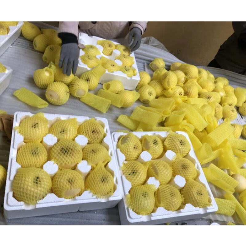 京蚨鲜山东烟台奶油富士苹果黄金苹果新鲜水果脆甜苹果 带箱9-10斤大果【80-85mm】净重8.5