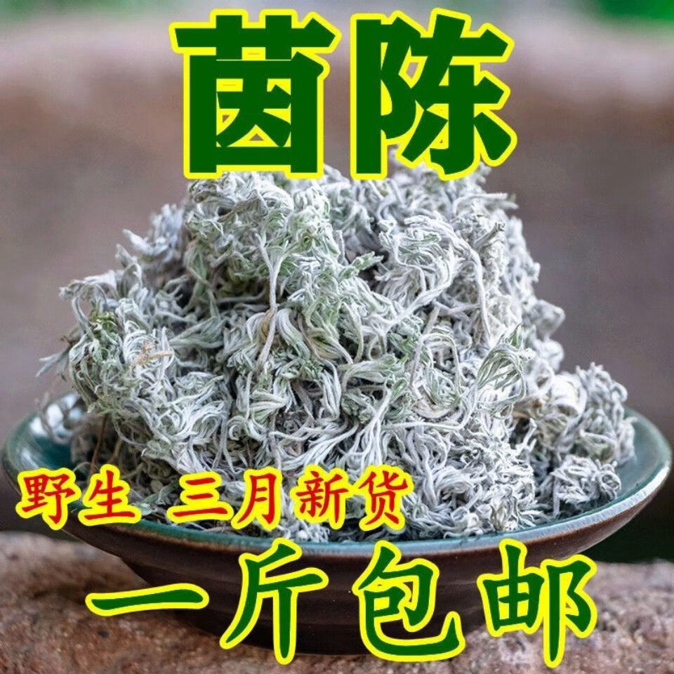 北京同仁堂原料野生新货茵陈:新鲜:三月茵陈:无硫无添加:自然晒干精选