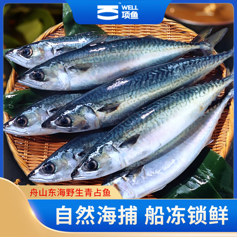 隽辰堂well舟山鲜冻舟山青占鱼500g*2