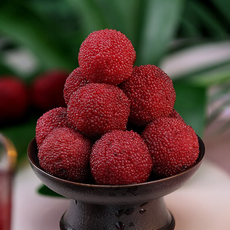 all day木糖醇杨梅水果罐头 300g*4罐 餐后甜点 休闲零食 聚餐出游