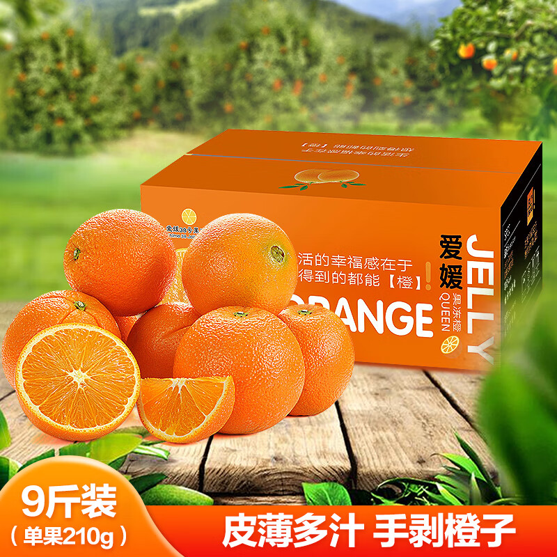 查橙子价格历史|橙子价格比较