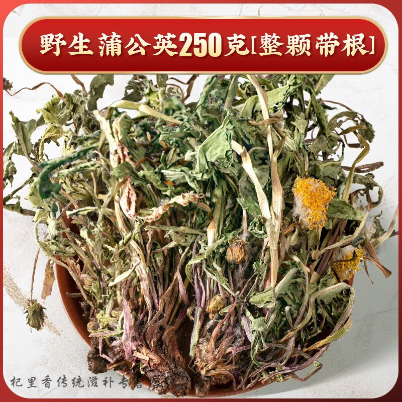 北京同仁堂 原料蒲公英野生500g克整根整颗新鲜甫公英根郁金猫爪草散i