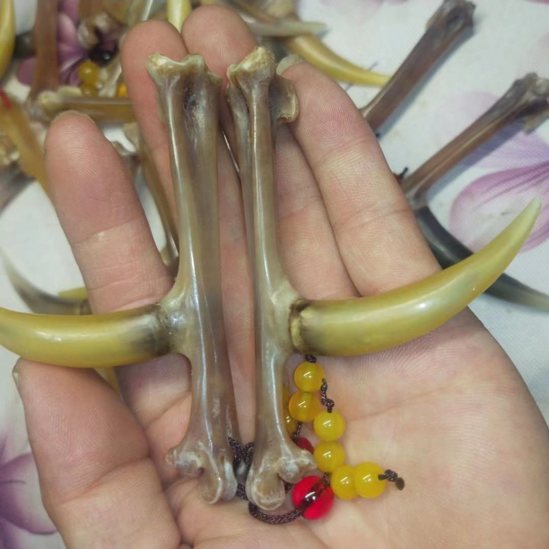 鸡爪骨手把件 鸡爪骨手把件鸡蹬骨子鸡爪骨把件老鸡拐子抓钱手文玩.
