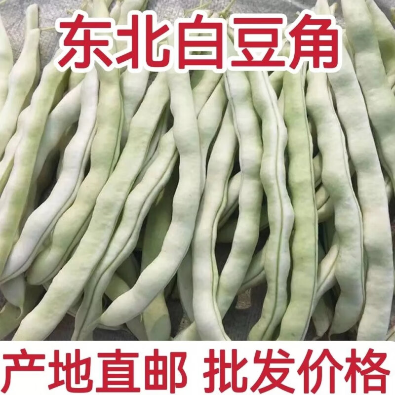 白大架白豆角新鲜农家自种产地直邮现摘现发格 2斤 【东北白豆角】