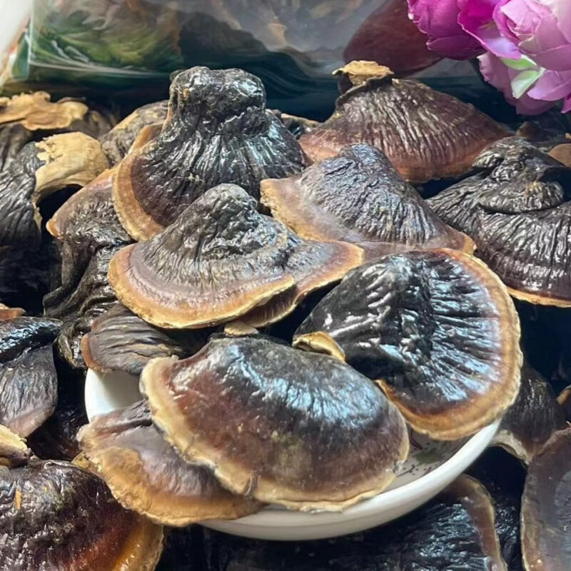 中号长白山金边灵芝菌芝深山采摘滋补养生煲汤泡水泡酒林芝可切片