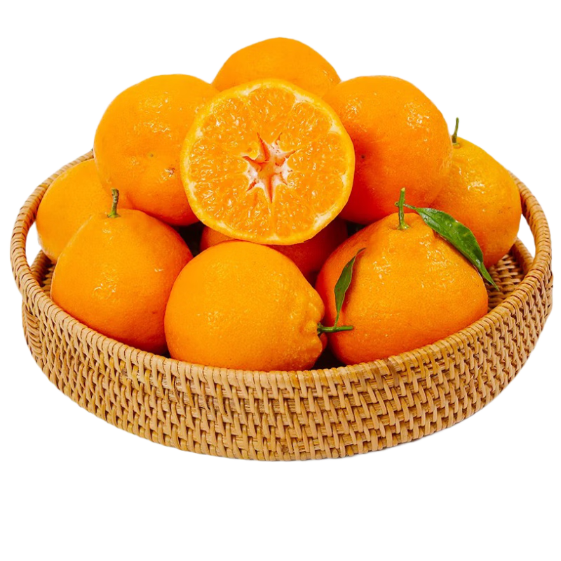 ���ش��Ĵ������ҰҸ̾���9�ﵥ��95mm�������θ̵���ˮ��Դͷֱ������ 279.6Ԫ��4��(��69.9Ԫ/��)