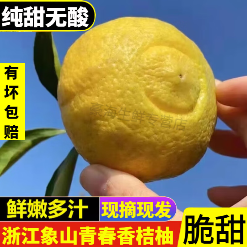 浙江春香柚 头茬鲜果象山青黄金柚 现摘孕妇纯甜无酸新鲜水果整箱 5斤