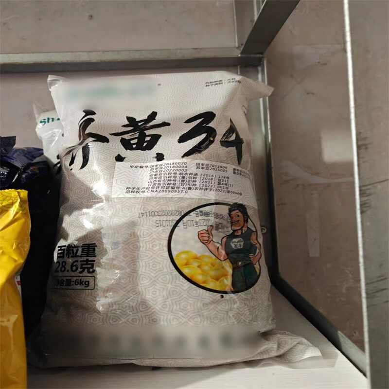 黄豆种子非转基因黑脐大豆种籽春夏季大田播农家种瑞豆一号 齐黄34