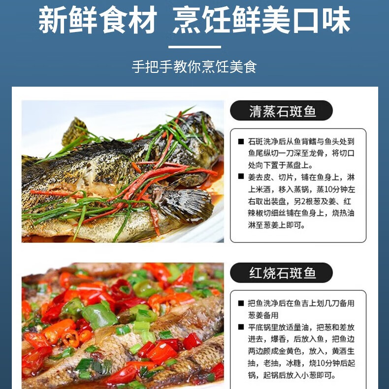 鲟食活冻石斑鱼野外生长海捕龙胆珍珠斑 老虎斑生鲜鱼类海鲜 石斑鱼净重650-800g/条【买一送一】
