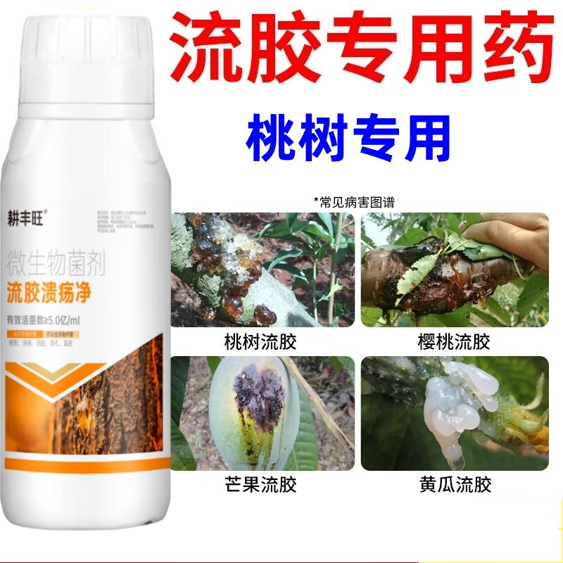 耕丰旺桃树流胶病专用药果树流胶一喷净桃树疮痂病穿孔溃疡病桃树流胶