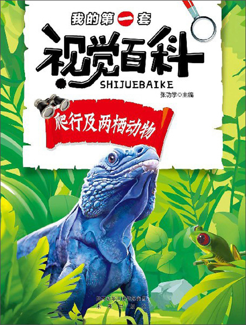 爬行及两栖动物-我的第一套视觉百科