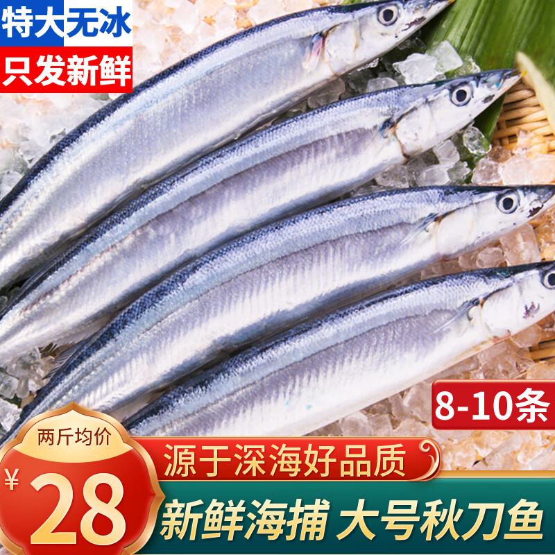 漁吻 秋刀魚新鮮冷凍 深海魚日式燒烤秋刀魚生鮮海鮮水產 【超大號】秋刀魚500g*2 (10條)