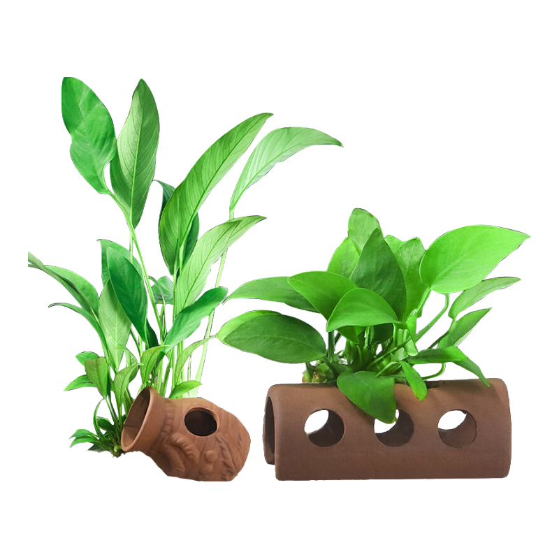 ���ڲ��������ˮ��ˮ��ֲ���������쾰��������ƿˮ��С�װ����չ�Դͷֱ������