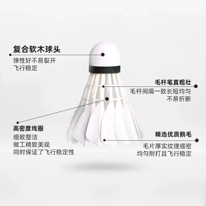 赢鹰66S 羽毛球装备哪里买 中羽在线