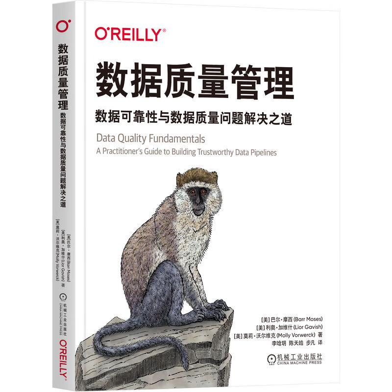 数据质量管理：数据可靠性与数据质量问题解决之道详情图