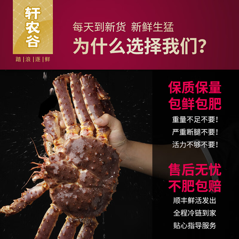 【活鲜】帝王蟹鲜活海鲜帝皇蟹鲜活螃蟹可同城闪送皇帝蟹活蟹帝 【3.5-3.9斤】鲜活发货 新鲜到家
