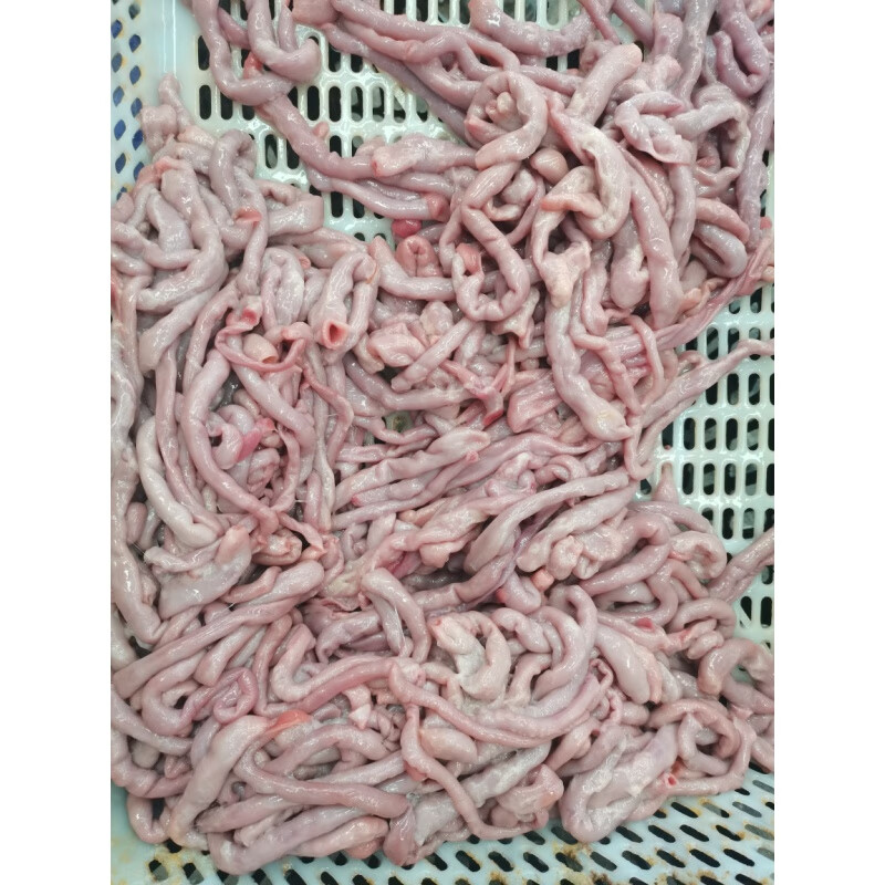 鲜水港新鲜鱼肠3斤鲤鱼鱼肠1500g淡水鱼鱼肠鱼杂鱼内脏真空包装鱼肠