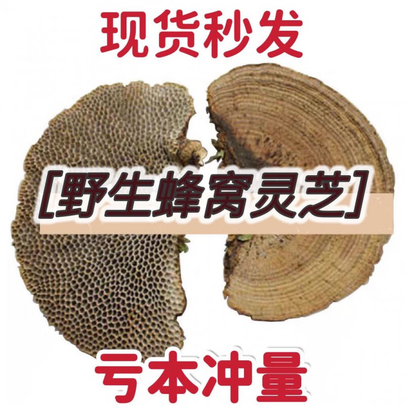 野生蜂窝灵芝蜂窝层孔菌 毛蜂窝菌纯龙眼菌 泡水泡酒 100g