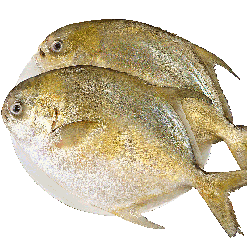 ���ڲ��������� ɽ�� �����䶳�����㾻�� 500-600g/�� 3��װ Դͷֱ�� 273.99Ԫ��3��(��91.33Ԫ/��)