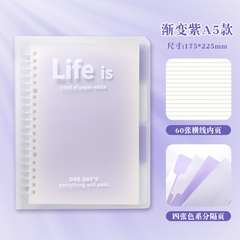 高中学生用线圈本可拆卸外壳横线替芯厚本子高颜值女生款好看的手账日