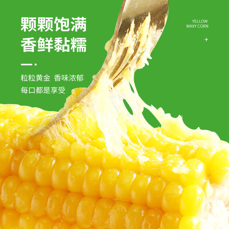 珍谷诱惑东北糯玉米 鲜食玉米 真空玉米棒  黑龙江鲜食苞米 原产地直发 黄糯玉米10支 2.4kg