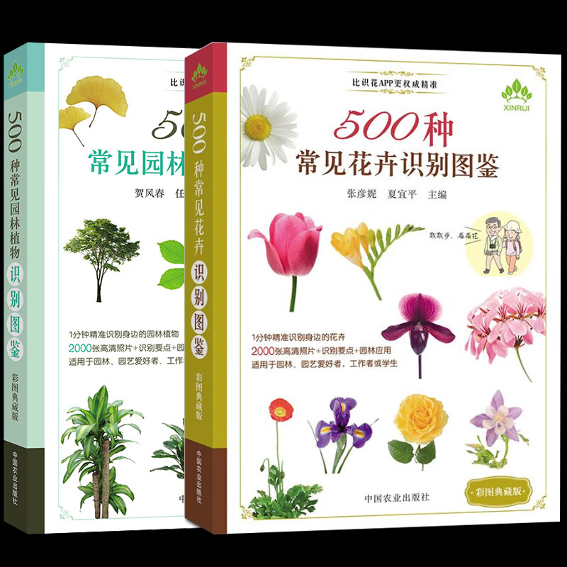 彩图典藏全2册500种常见花卉园林植物识别图鉴 500种常见园林植物识别