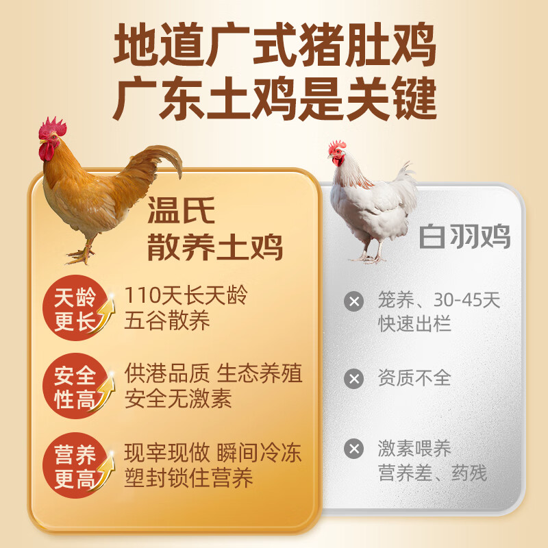 温氏胡椒猪肚鸡组合装1kg(3-4人份)广式原汤新鲜食材预制快手菜