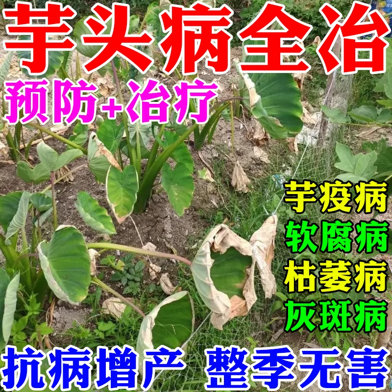 芋头专用药病菌清防软腐炭疽枯萎病灭菌灵褐斑卷叶烂根快速杀菌剂 一