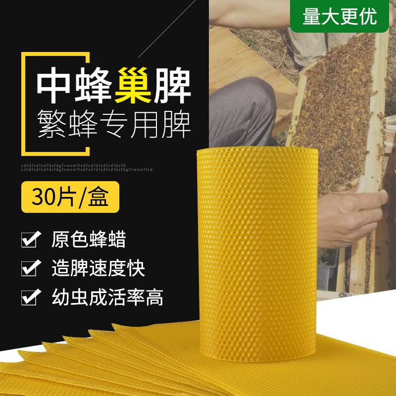 中蜂巢础蜜蜂巢脾巢基养蜂巢础全套养蜂工具深房【30片】 中蜂巢础30片高性价比高么？