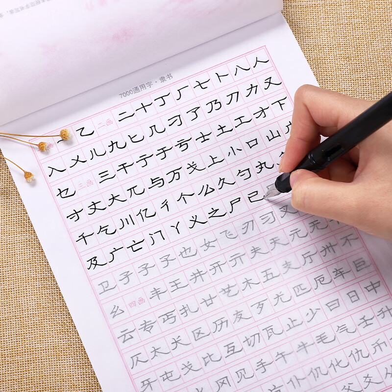 倾阑 钢笔字隶书 隶书硬笔临摹字帖 成人描红隶书练习纸 7000通用字