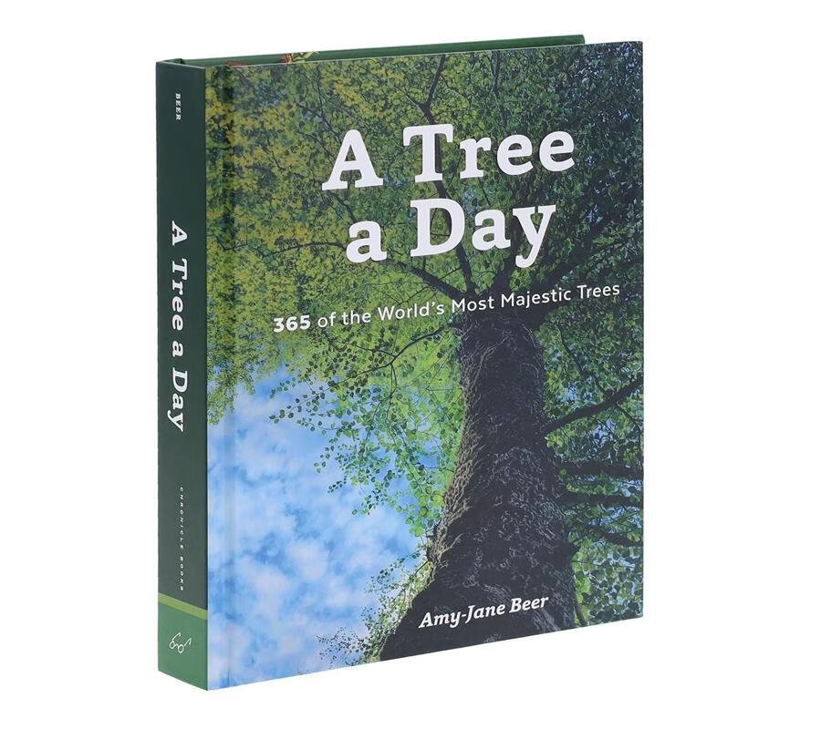 一天一树 a tree a day 英文原版 amy-jane beer 自然摄影集 植物学