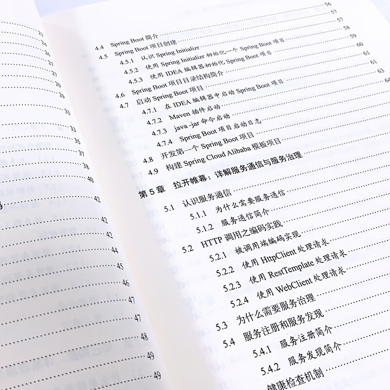 Spring Cloud Alibaba大型微服务架构项目实战（上册）(博文视点出品)