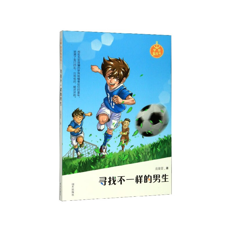 寻找不一样的男生/梦想集结号