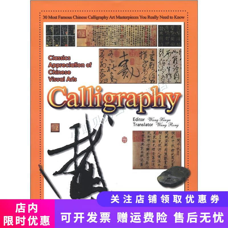 正版旧书  中国视觉艺术经典欣赏:书法