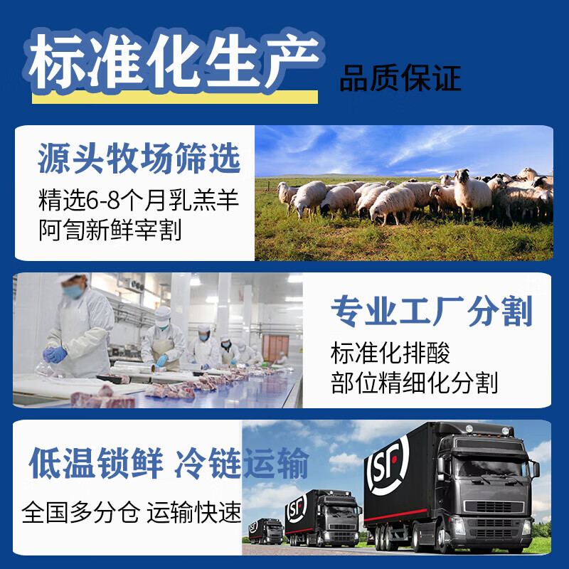 午羊 宁夏滩羊肉 生鲜肚包肉羊肉新鲜羊肚包冷冻真空袋装火锅烧烤食材 法式羊排12支600g