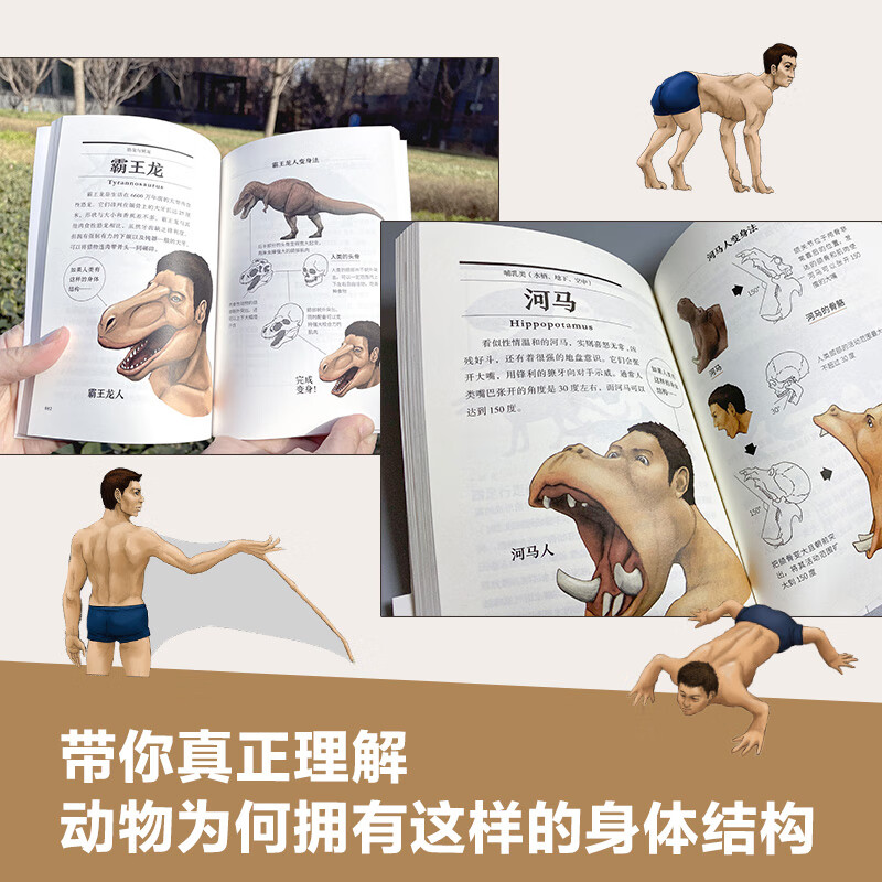 脑洞冷知识日本科普神作动物身体结构生物进化哺乳爬行课外动漫绘本儿
