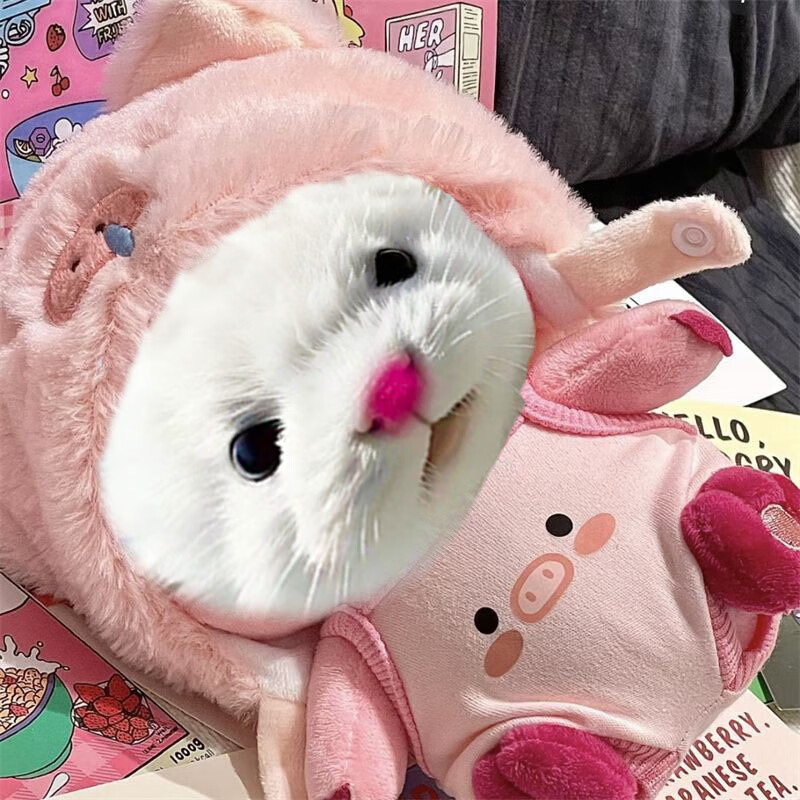 衣服可爱粉色小海狸20cm露比娃衣loopy公仔裙子 小猪吊带 鼻涕猪帽子