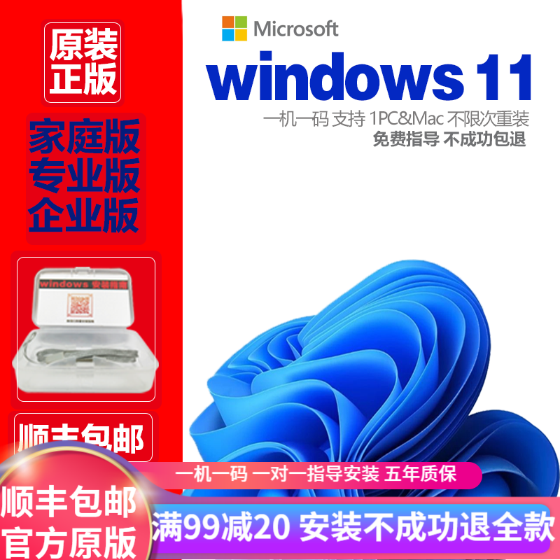 win11系统正版专业版windows11重装系统u盘专业版