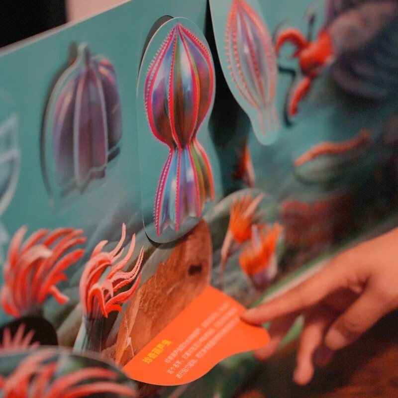 PNSO超级翻翻书：揭秘远古海洋动物（前所未有的海洋动物科普超级翻翻书，可以在家参观的纸上海洋博